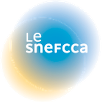 SNEFCCA